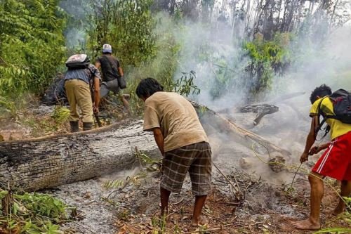 Indeci reporta siete nuevos incendios forestales en cinco regiones; el de Río Tambo ya arrasó 350 hectáreas
