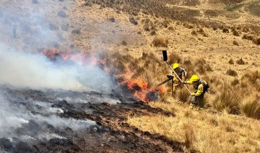 Bomberos de Pasco apoyan a guardaparques y comuneros contra un incendio que amenaza el Bosque de Piedras de Huayllay