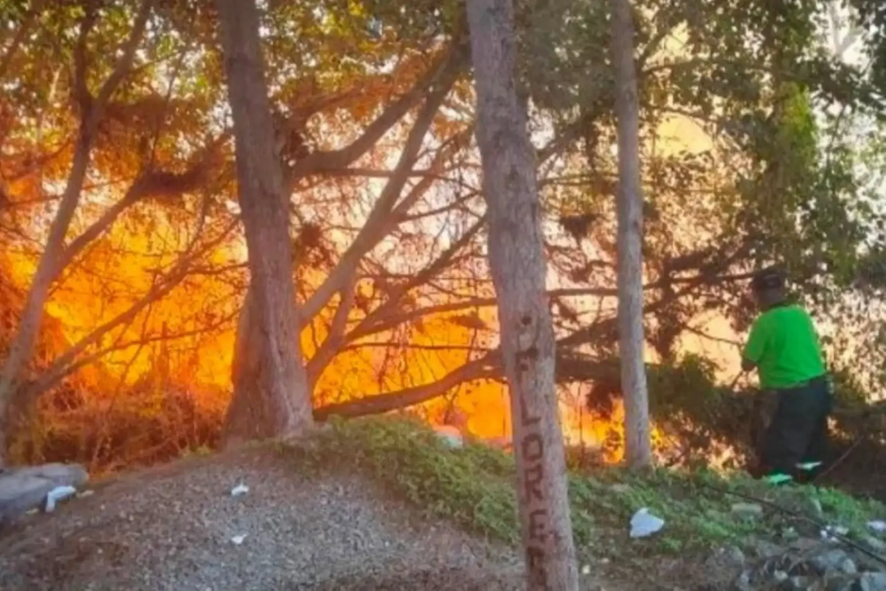Incendios forestales: 98 % son provocados por el hombre y más de un millón de peruanos vive en riesgo