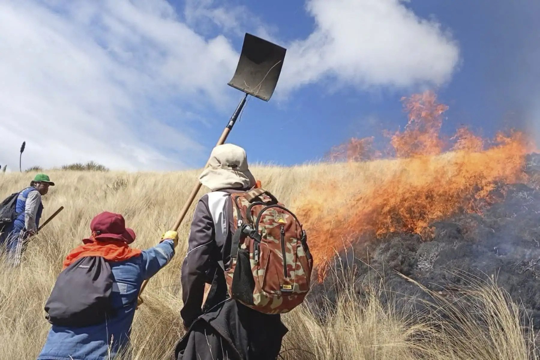 Seis personas han muerto este año en incendios forestales de Cusco y piden no sofocar el fuego sin ayuda