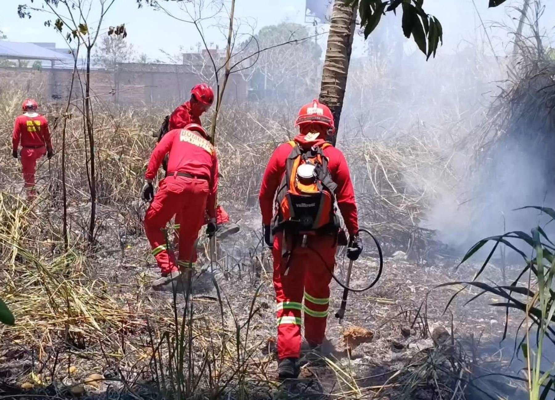 Bomberos de Tarapoto atienden hasta cuatro incendios forestales al día y piden que los empleadores liberen a voluntarios