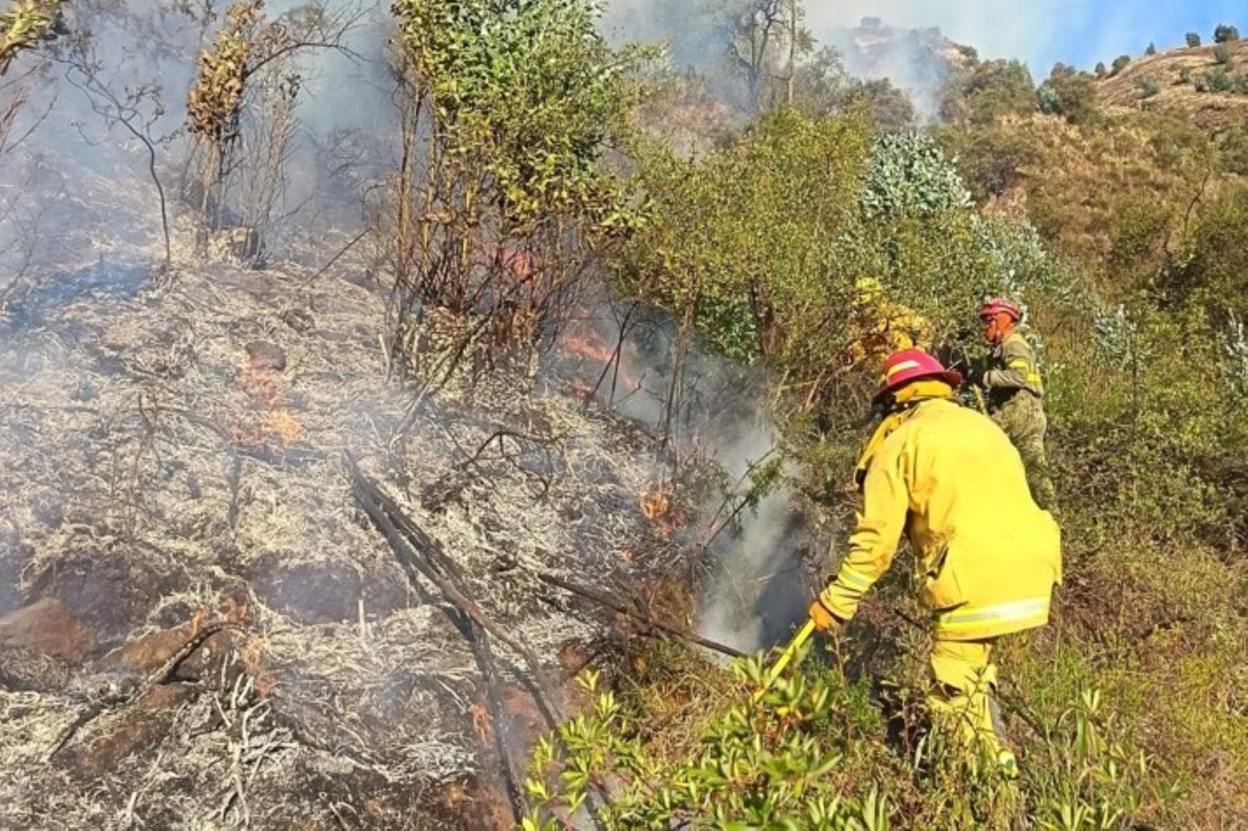 Bomberos de Anta extinguen tras cuatro días un incendio de 350 hectáreas en Cusco con apoyo aéreo y pobladores