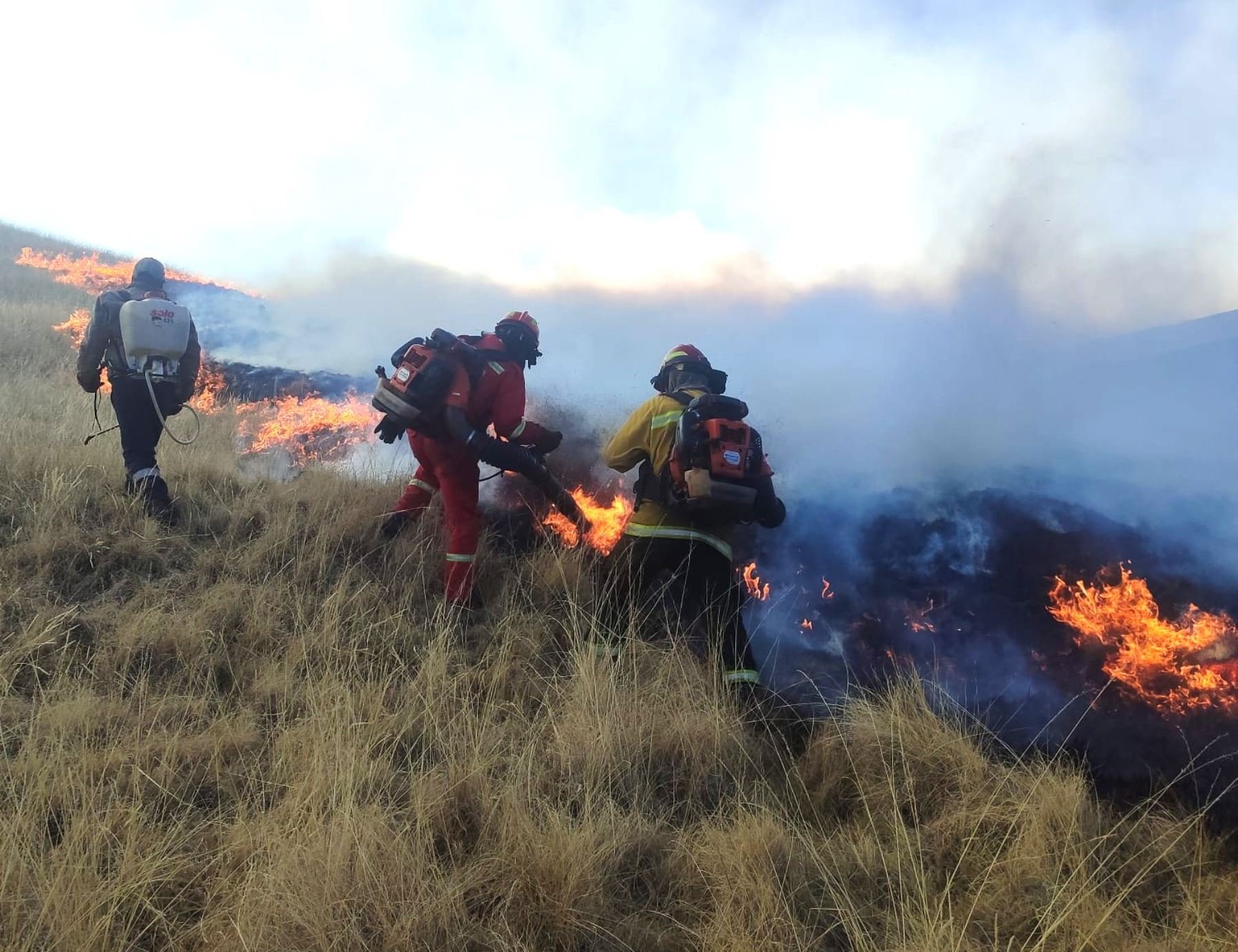 Bomberos de la Compañía 126 enfrentan tres incendios forestales en Espinar con equipos y víveres insuficientes