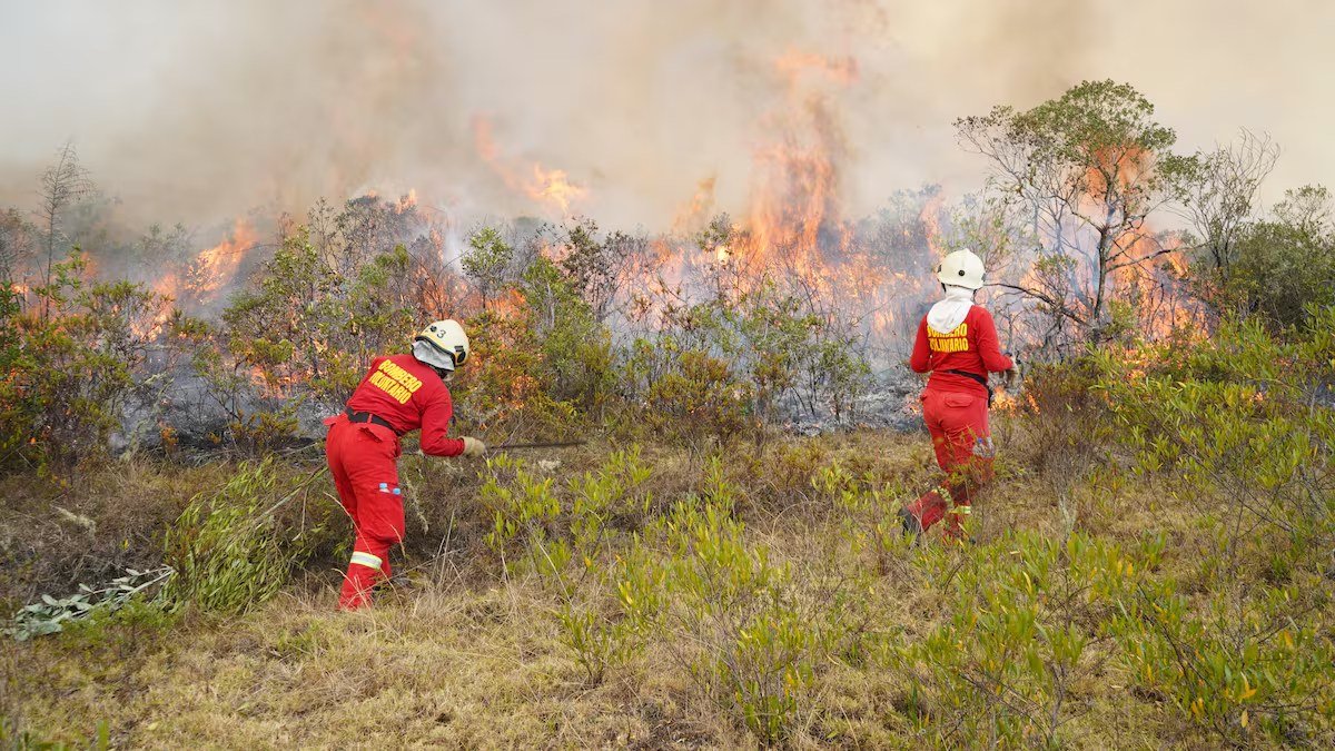 Controlan cuatro incendios forestales en la sierra y la Amazonía
