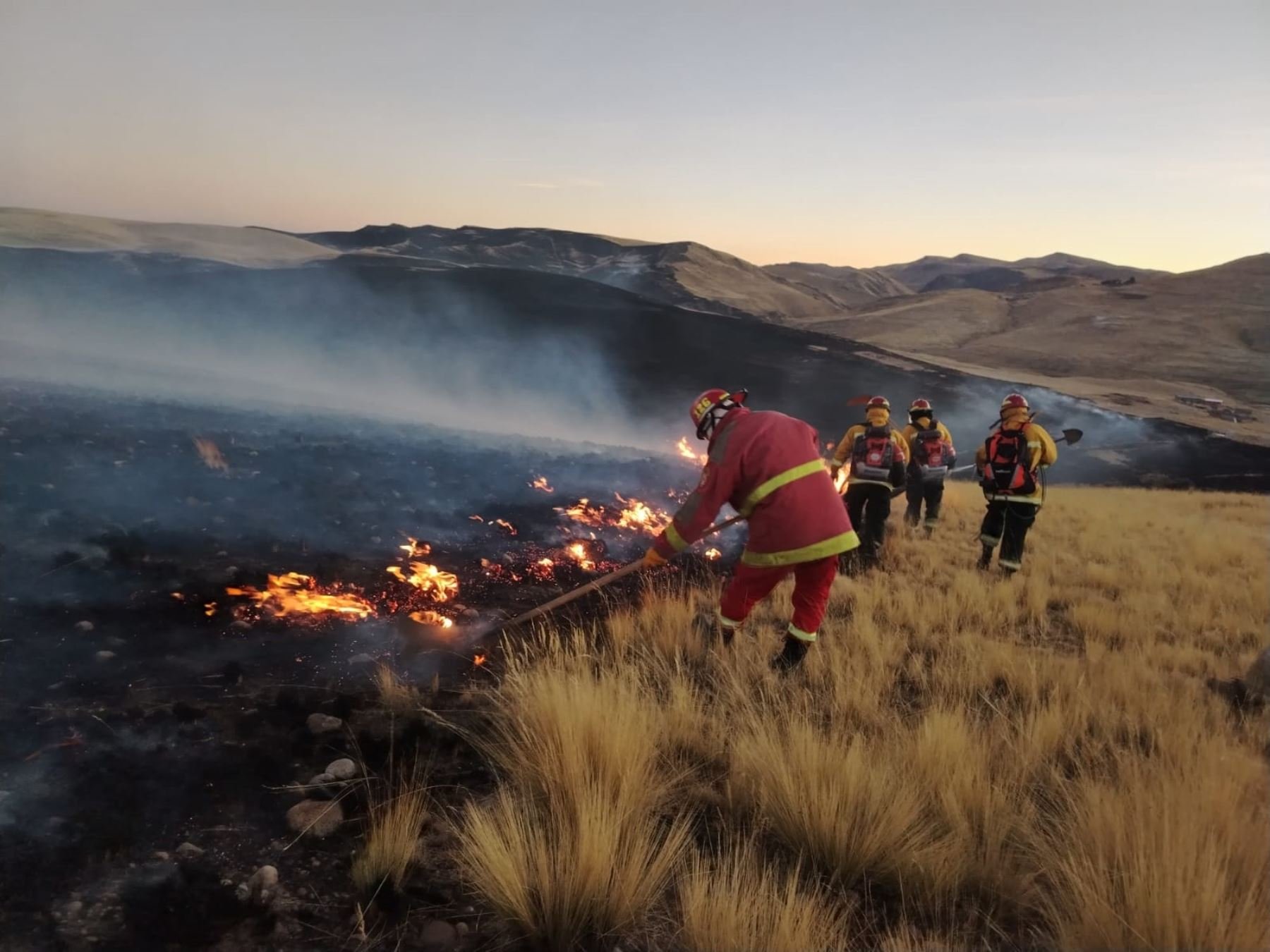 Quince compañías de bomberos de Cusco enfrentan seis incendios forestales activos, con cinco muertos en la región
